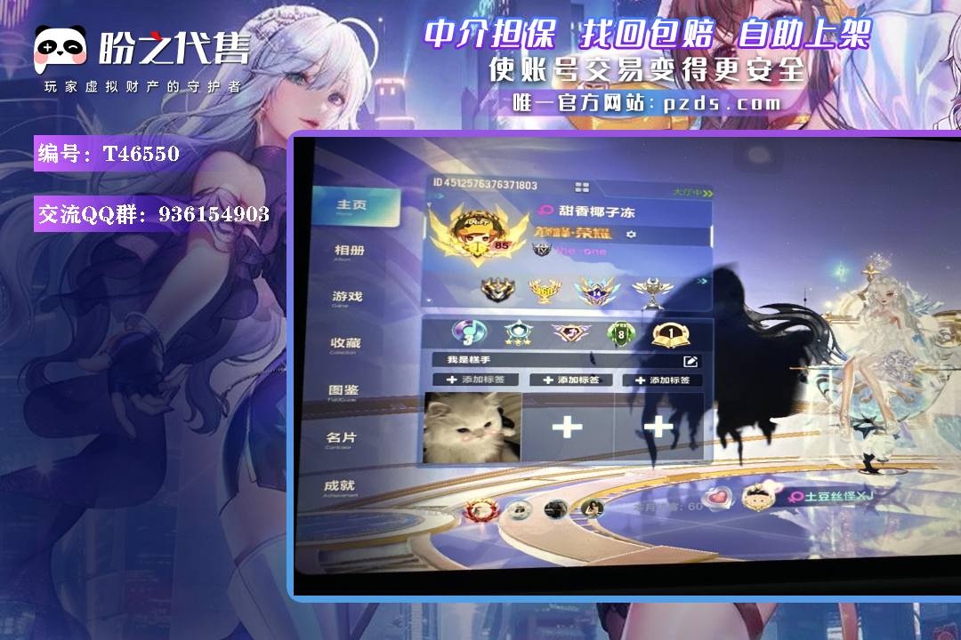 T46550 号 t车孙悟空 a车冰魄星煌等 强力竞速宠物 最高结算全国100多名