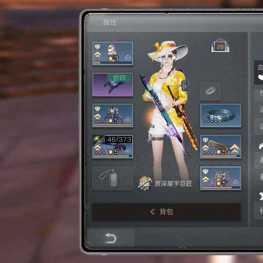 MH6GP0 号 资深屋宇巨匠，4399服
