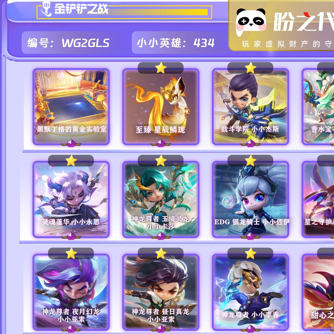 WG2GLS 号  【不可二次实名】【VIP10】lv484 434小小英雄 37棋盘 201特效 22神话小小英雄 1神话棋盘
