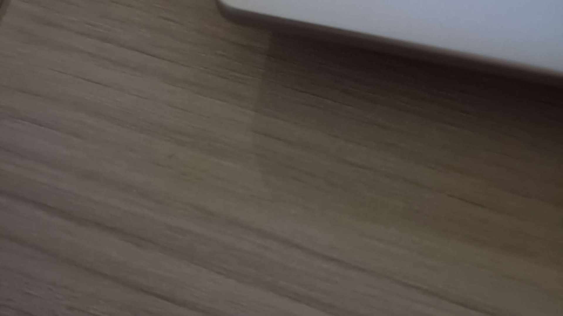 ZJMAJJ0 号 ZJM05AP 号 测试，勿拍