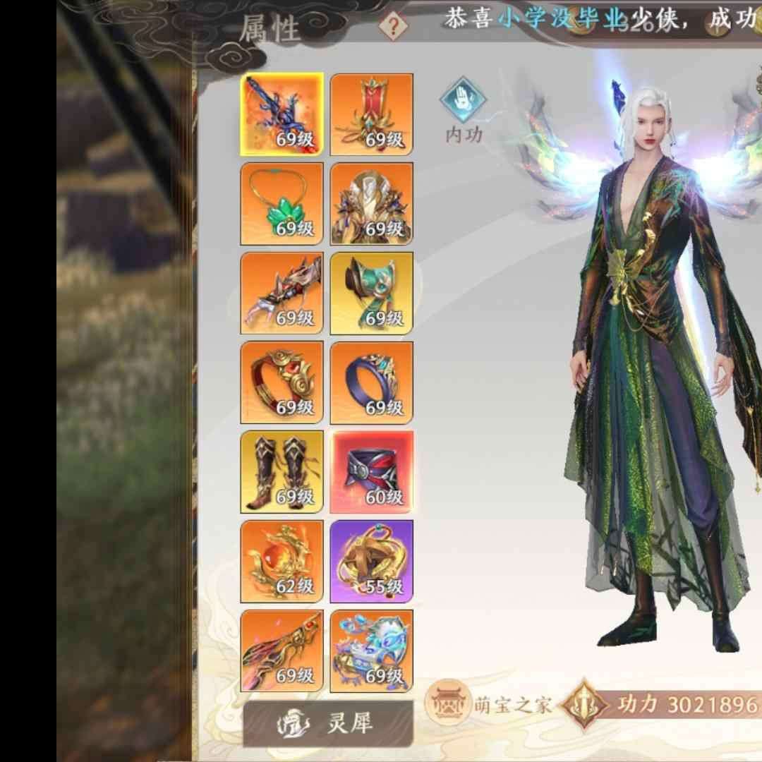 DDH8P0 号 荣耀总榜50多，武当第五，便宜卖了