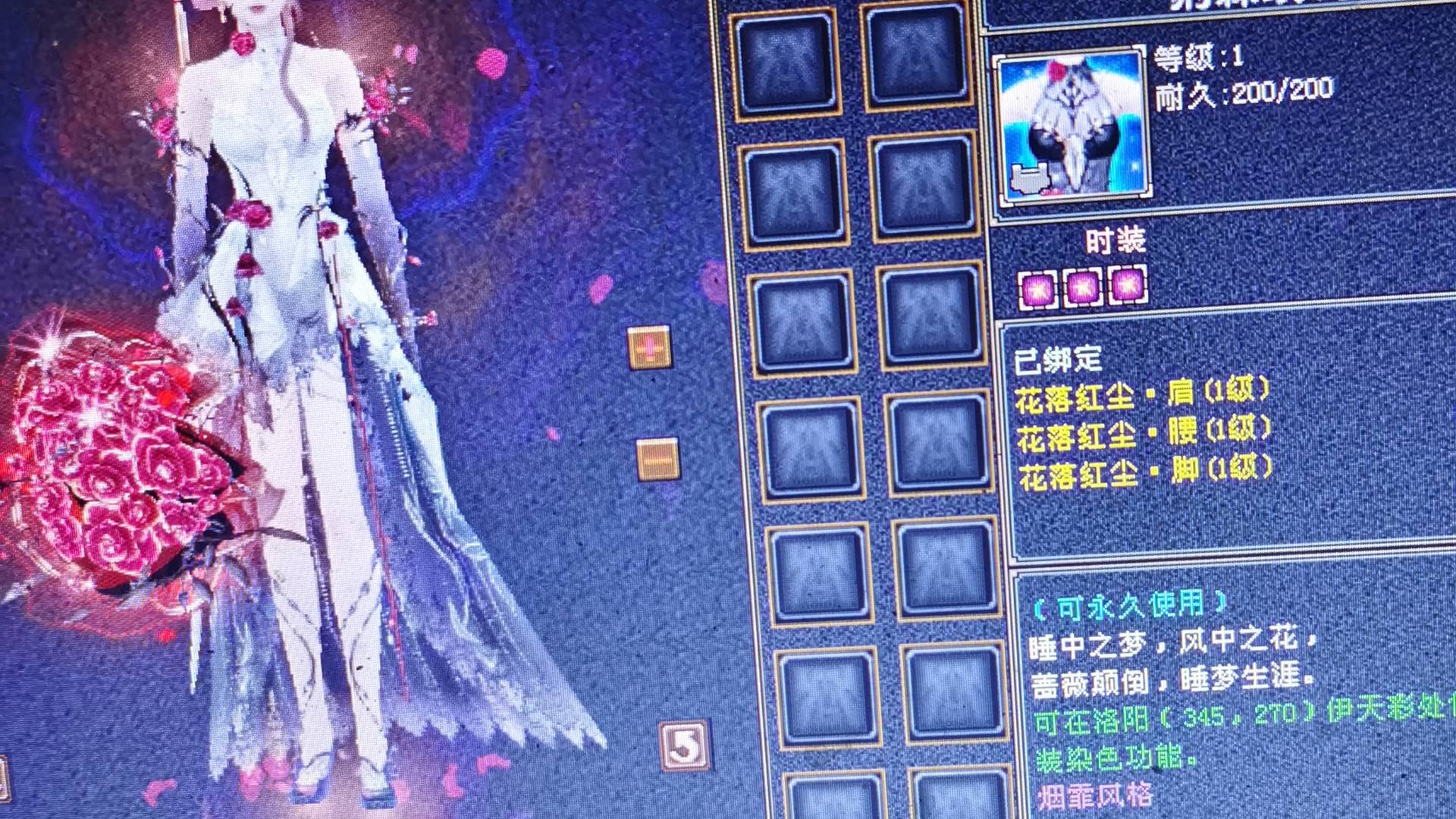 TVA0TK 号 细节493逍遥满级幻视玫瑰衣服怀旧服【自主截图】