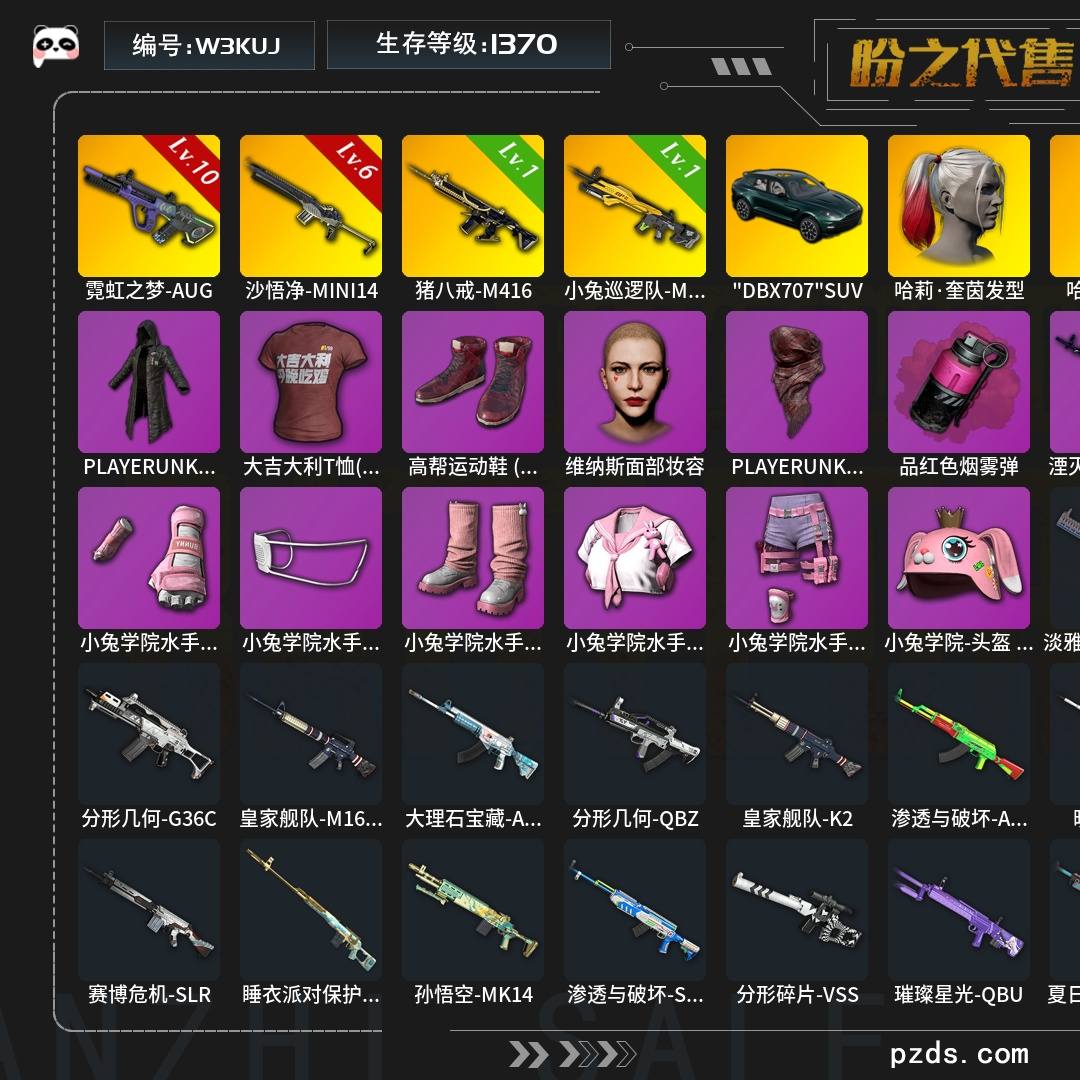 W3KUJ   无排名  生存等级1370，名誉等级5，金标数量7，枪皮数量63，哈莉·奎茵发型，哈莉·奎茵妆，耳机渔夫帽，小兔学院大礼包，"DBX707"SUV，升级枪械武器沙悟净-MINI14[6级],猪八戒-M416[1级],小兔巡逻队-MK12[1级]