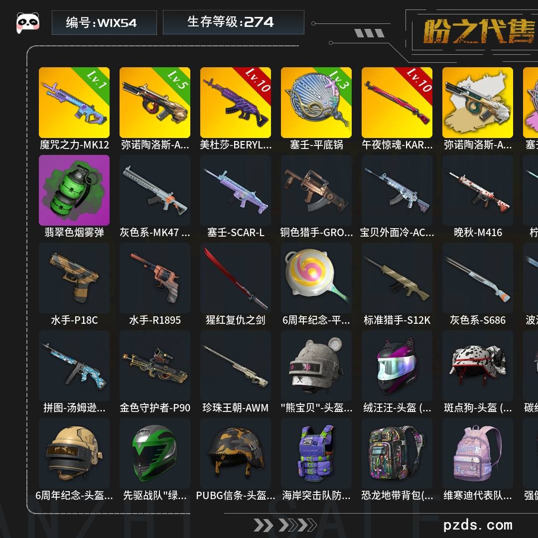 W1X54   无排名  生存等级274，名誉等级3，金标数量1，枪皮数量35，危险玩偶屋电波干扰背包，升级枪械武器魔咒之力-MK12[1级],塞壬-平底锅[3级],美杜莎-BERYL M762[10级]