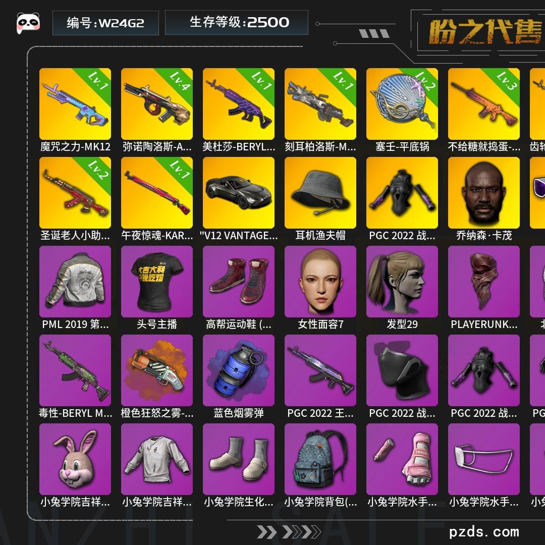 W24G2   无排名  生存等级2500，名誉等级3，金标数量9，枪皮数量252，耳机渔夫帽，PGC 2022 战术科技上衣，乔纳森·卡茂，PGC 2022 大礼包，小兔学院大礼包，拉风龙大礼包，"V12 VANTAGE ROADSTER"跑车，升级枪械武器魔咒之力-MK12[1级],塞壬-平底锅[2级],刻耳柏洛斯-M249[1级]