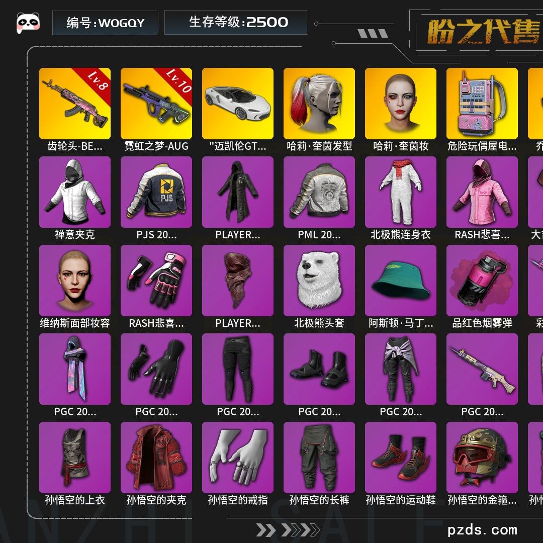 W0GQY   无排名  生存等级2500，名誉等级3，金标数量12，枪皮数量89，哈莉·奎茵发型，哈莉·奎茵妆，危险玩偶屋电波干扰背包，PGC 2022 大礼包，西游记大礼包，"迈凯伦GT标准版-硅质白"跑车，升级枪械武器霓虹之梦-AUG[10级],齿轮头-BERYL M762[8级]