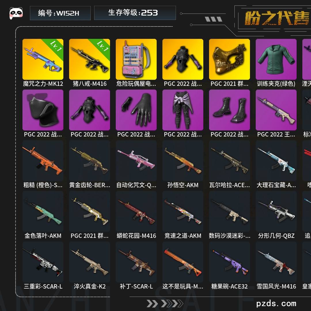 W152H   无排名  生存等级253，名誉等级3，枪皮数量143，危险玩偶屋电波干扰背包，PGC 2022 战术科技上衣，PGC 2021 群雄逐鹿面具，PGC 2022 大礼包，升级枪械武器魔咒之力-MK12[1级],猪八戒-M416[1级]
