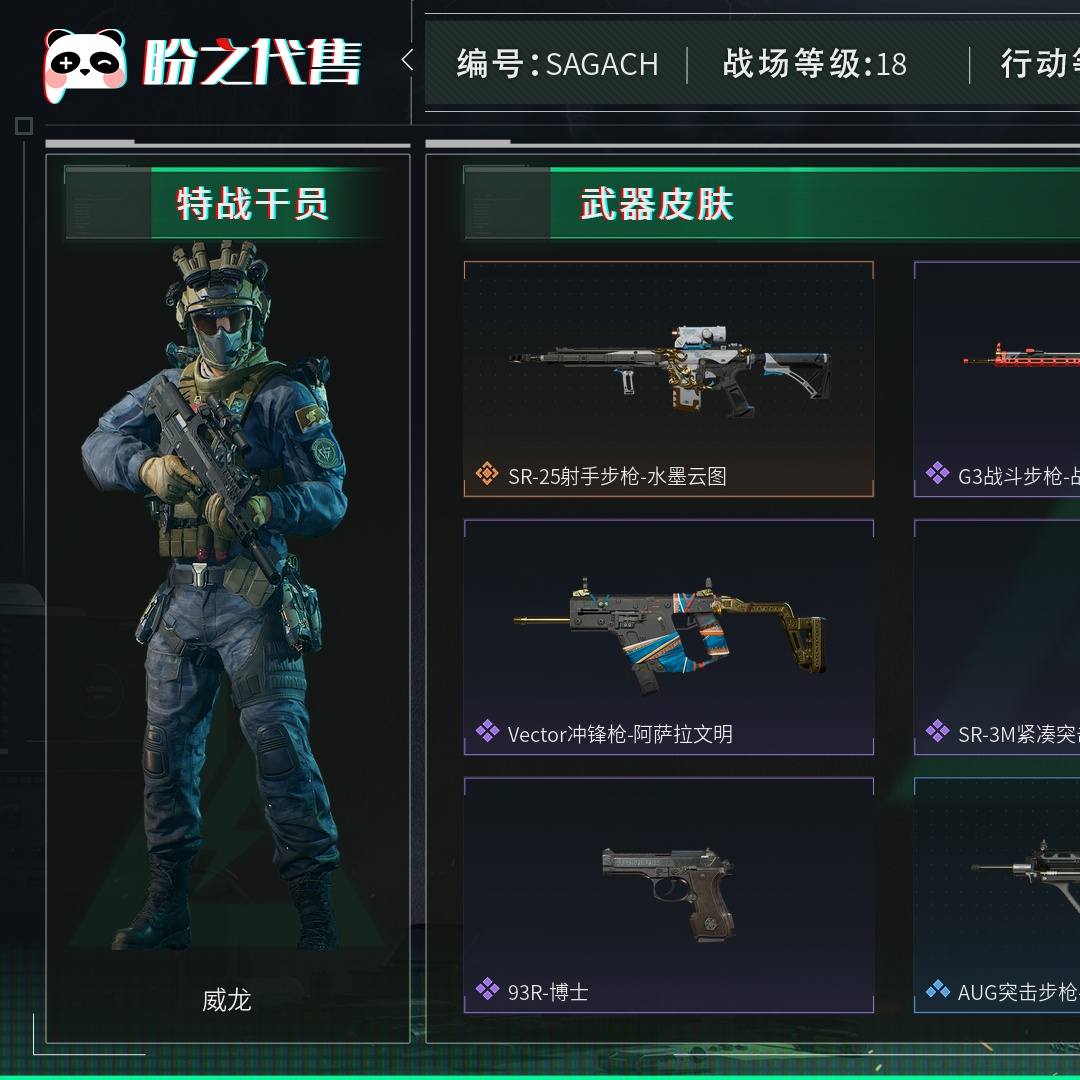 SAGACH 号 【SAGACH】【可二次实名】战场等级：18 上等兵，行动等级：60 黑鹰，总资产380.26M，哈夫币277851253，通行证：通行证免费版，枪皮数量44，挂饰数量3，载具数量4，安全箱等时效性道具请以游戏内数据为准；详情请看图
